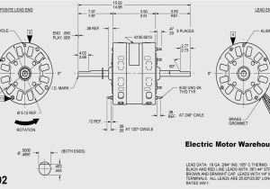 Dayton Electric Motors Wiring Diagram Dayton Gear Motor Wiring Diagram Wiring Diagrams Dayton Electric Motors Wiring Diagram Dayton Gear Motor Wiring Diagram Wiring Diagrams