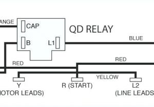 Dayton Electric Motors Wiring Diagram Dayton Split Phase Motor 1 Electric Oil Burner Nib 3 Hp Air Over Fan Dayton Electric Motors Wiring Diagram Dayton Split Phase Motor 1 Electric Oil Burner Nib 3 Hp Air Over Fan
