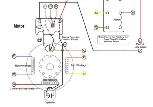 Dayton Electric Motors Wiring Diagram Download Dayton Gear Motor Wiring Diagram Wiring Diagram Inside Dayton Electric Motors Wiring Diagram Download Dayton Gear Motor Wiring Diagram Wiring Diagram Inside