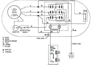 Dayton Hoist Wiring Diagram Coffing Wiring Diagram 480 Wiring Diagram Centre Dayton Hoist Wiring Diagram Coffing Wiring Diagram 480 Wiring Diagram Centre
