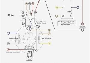 Dayton Motor Wiring Diagram Motor Wiring Diagram 19 Wiring Diagram Center