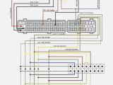 Dball2 Wiring Diagram Viper Wiring Diagram Wiring Diagram Dball2 Wiring Diagram Viper Wiring Diagram Wiring Diagram