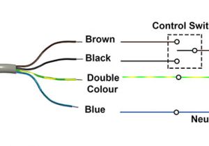 Dc Motor Wiring Diagram 4 Wire Dc Motor Diagram Wiring Diagram Long