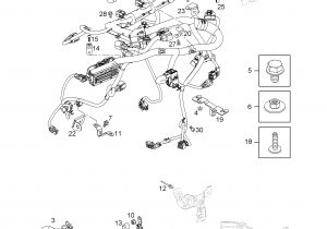 Definition Of Wiring Diagram Engine Wiring Harness D Blog Wiring Diagram
