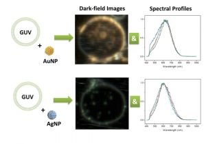 Dell Nps 250kb Wiring Diagram Ijms April 2018 Browse Articles