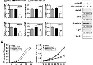 Dell Nps 250kb Wiring Diagram Ijms February 2017 Browse Articles