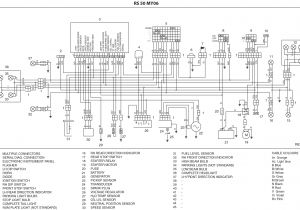 Derbi Senda 50 Wiring Diagram Wiring Diagrams for Derbi Aprilia and More Gpr Camp Replica Racers Derbi Senda 50 Wiring Diagram Wiring Diagrams for Derbi Aprilia and More Gpr Camp Replica Racers
