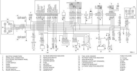 Derbi Senda 50 Wiring Diagram Wiring Diagrams for Derbi Aprilia and More Gpr Camp Replica Racers