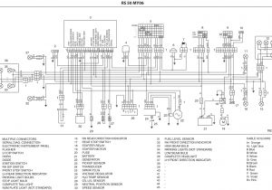 Derbi Senda Wiring Diagram Wiring Diagrams for Derbi Aprilia and More Gpr Camp Replica Racers