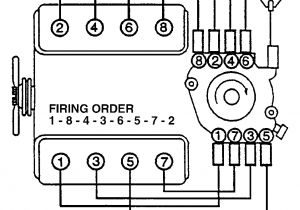 Diagram Of Spark Plug Wires Spark Plug Wiring Diagram Wiring Diagram Info