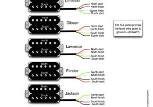 Dimarzio Pickup Wiring Diagram Seymour Duncan Wiring Diagrams Wiring Diagram Database
