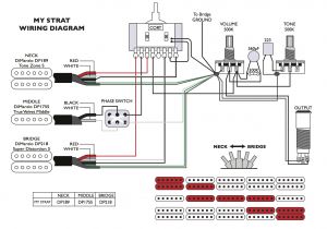 Dimarzio Wiring Diagram Joe Satriani Wiring Diagram Wiring Diagram Fascinating