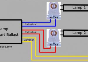 Dimmable Ballast Wiring Diagram Fluorescent Ballast Wiring Diagram Wiring Diagram Expert Dimmable Ballast Wiring Diagram Fluorescent Ballast Wiring Diagram Wiring Diagram Expert