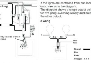 Dimmer Wiring Diagram 1 Way Dimmer Switch Wiring Diagram Awesome Dimmer Switch Wiring Dimmer Wiring Diagram 1 Way Dimmer Switch Wiring Diagram Awesome Dimmer Switch Wiring