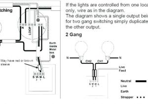 Dimmer Wiring Diagram 1 Way Dimmer Switch Wiring Diagram Awesome Dimmer Switch Wiring