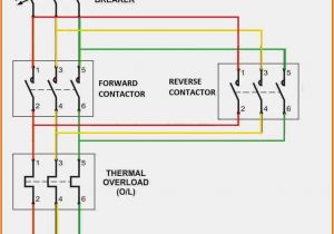 Direct Online Starter Wiring Diagram Electrical Contactor Diagram Wiring Diagram