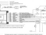 Directed Alarm Wiring Diagram Malibu Python Security Wiring Diagram Wiring Diagram Rules