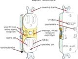 Disposal Wiring Diagram Plug Outlet Wiring Diagram A Garbage Disposal Dishwasher Electrical