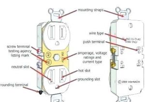 Disposal Wiring Diagram Plug Outlet Wiring Diagram A Garbage Disposal Dishwasher Electrical Disposal Wiring Diagram Plug Outlet Wiring Diagram A Garbage Disposal Dishwasher Electrical