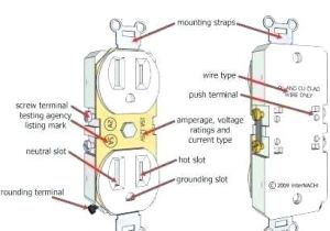 Disposal Wiring Diagram Plug Outlet Wiring Diagram A Garbage Disposal Dishwasher Electrical