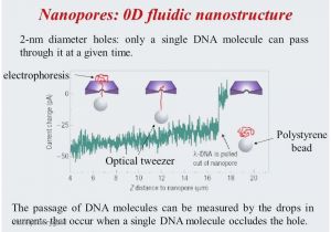 Distributor Wiring Diagram 91 Honda Accord Distributor Wiring Diagram Best Dizzy Civic for Distributor Wiring Diagram 91 Honda Accord Distributor Wiring Diagram Best Dizzy Civic for