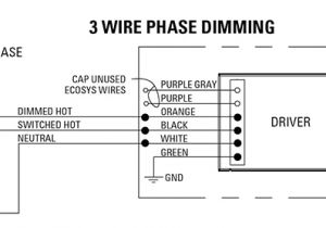 Diva Cl Dimmer Wiring Diagram Diva C L Dimmer Wiring Diagram