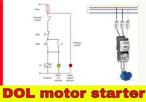 Dol Motor Starter Wiring Diagram Electrical Contactor Diagram Wiring Diagram