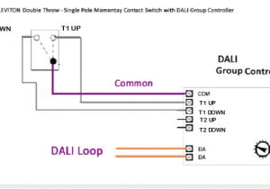 Double Dimmer Switch Wiring Diagram Dali Dimmer Decora Style Double Dimmer Switch Wiring Diagram Dali Dimmer Decora Style