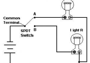 Double Pole Double Throw Switch Wiring Diagram Dpdt Switch Wiring Diagram Wiring Diagrams Active