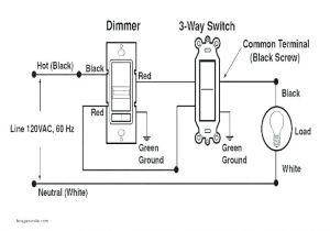 Double Pole Single Throw Switch Wiring Diagram Winning Single Pole Dimmer Switch Wiring Diagram Light Australia One