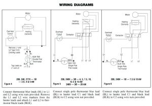 Double Pole Wiring Diagram Double Pole thermostat Richardaguilar Co