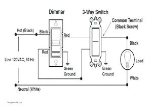 Double Pole Wiring Diagram Hubbell Single Pole Switch Wiring Diagram Wiring Diagram Center