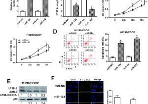 Dp 241 8 24 Wiring Diagram Mir 124 and Mir 142 Enhance Cisplatin Sensitivity Of Non Small Cell Dp 241 8 24 Wiring Diagram Mir 124 and Mir 142 Enhance Cisplatin Sensitivity Of Non Small Cell