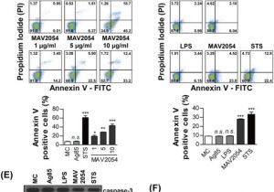 Dp 241 8 24 Wiring Diagram Mycobacterium Avium Mav2054 Protein Induces Macrophage Apoptosis by Dp 241 8 24 Wiring Diagram Mycobacterium Avium Mav2054 Protein Induces Macrophage Apoptosis by