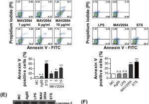 Dp 241 8 24 Wiring Diagram Mycobacterium Avium Mav2054 Protein Induces Macrophage Apoptosis by