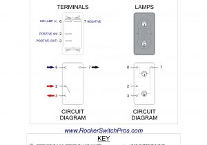 Dpst Rocker Switch Wiring Diagram F2b Dpdt Guitar Switch Wiring Diagram Free Picture Wiring