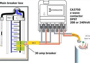 Dpst Wiring Diagram Wiring Diagram for Water Heater Titletexas Info