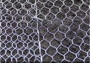 Draw Tite Activator Ii Wiring Diagram Activator Trailer Brake Wiring Diagram top Draw Tite Activator Ii Draw Tite Activator Ii Wiring Diagram Activator Trailer Brake Wiring Diagram top Draw Tite Activator Ii