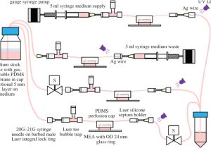 Drift Gauges Wiring Diagram Drift Gauges Wiring Diagram Elegant Drift Gauges Wiring Diagram
