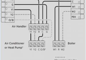 Dry Type Transformer Wiring Diagrams 75 Kva Transformer Wiring Diagram Wiring Diagram Technic Dry Type Transformer Wiring Diagrams 75 Kva Transformer Wiring Diagram Wiring Diagram Technic