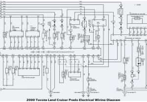 Drz 400 Wiring Diagram Suzuki Cultus Wiring Diagram Wiring Diagram Datasource