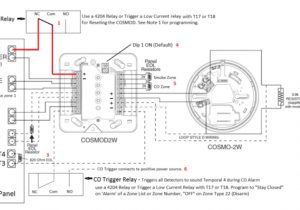 Dsc 2 Wire Smoke Detector Wiring Diagram How Do I Wire and Use A Cosmo 2w Bination Smoke Co