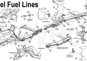 Dt466 Cam Sensor Wiring Diagram 2002 Duramax Fuel Filter Head Wiring Diagram Database