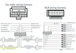 Dual Amp Wiring Diagram Inr Wiring Diagram Wiring Diagram Inside
