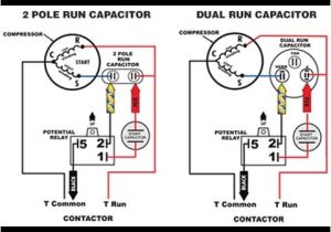 Dual Capacitor Motor Wiring Diagram Air Compressor Dual Capacitor Wiring Wiring Diagram Networks Dual Capacitor Motor Wiring Diagram Air Compressor Dual Capacitor Wiring Wiring Diagram Networks
