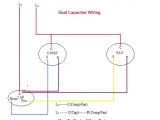 Dual Capacitor Motor Wiring Diagram Diagram Ebm Papst Fan Wiring Diagram with Capacitor Full
