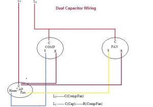 Dual Capacitor Motor Wiring Diagram Diagram Ebm Papst Fan Wiring Diagram with Capacitor Full Dual Capacitor Motor Wiring Diagram Diagram Ebm Papst Fan Wiring Diagram with Capacitor Full