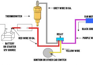Dual Fan Relay Wiring Diagram 96 ford Thunderbird Cooling Fan Wiring Schematic Wiring Diagram Option Dual Fan Relay Wiring Diagram 96 ford Thunderbird Cooling Fan Wiring Schematic Wiring Diagram Option