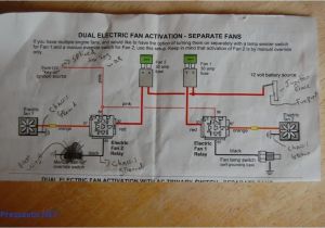 Dual Fan Relay Wiring Diagram Ae86 Wiring Diagram Cooling Fan Wiring Diagram Technic Dual Fan Relay Wiring Diagram Ae86 Wiring Diagram Cooling Fan Wiring Diagram Technic