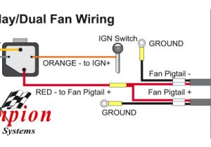 Dual Fan Wiring Diagram Wiring Diagram for Fan Relay Wiring Diagram Official Dual Fan Wiring Diagram Wiring Diagram for Fan Relay Wiring Diagram Official